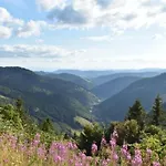 Penthouse * Feldberg (Baden-Wurttemberg)