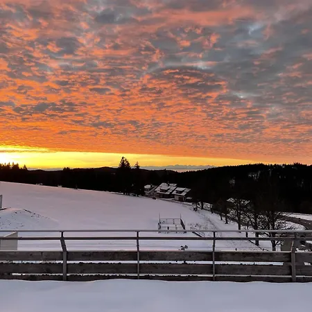 Apartment Penthouse *
