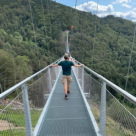 Penthouse * Feldberg (Baden-Wurttemberg)