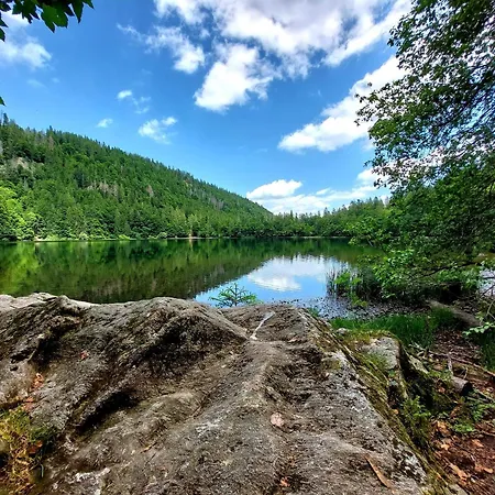Penthouse Apartment *