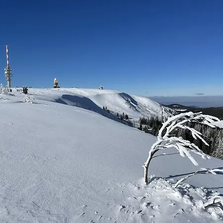 Apartment Penthouse Feldberg (Baden-Wurttemberg)
