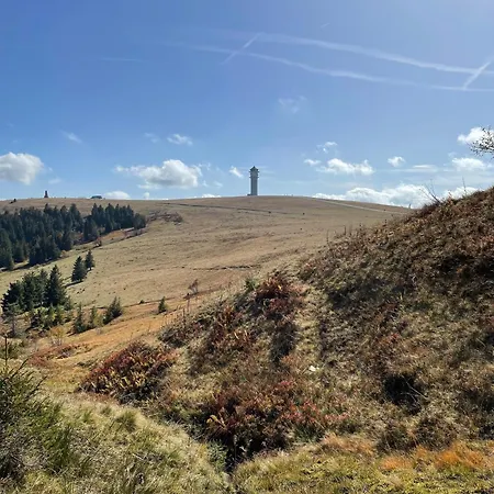 Lägenhet Penthouse Feldberg (Baden-Wurttemberg)