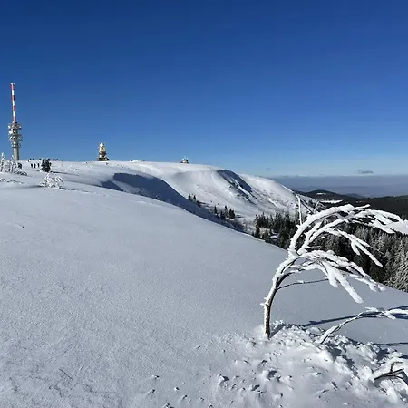 Lägenhet Penthouse Feldberg (Baden-Wurttemberg)